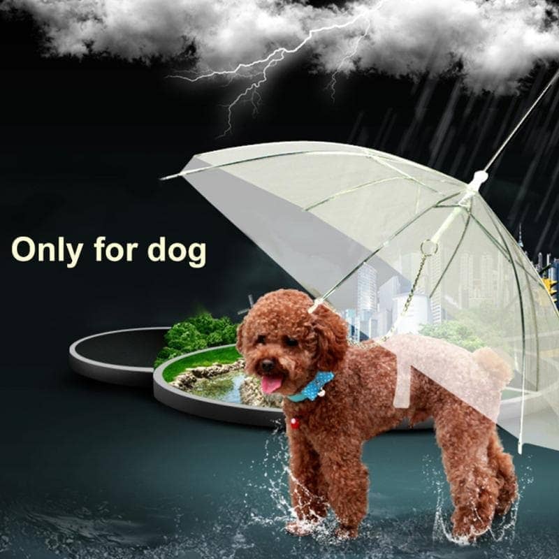 Transparent Dog Umbrella-Pet Accessory-Unbranded-www.PhoneGuy.com.au