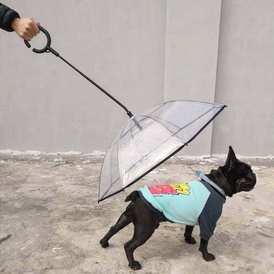 Transparent Dog Umbrella-Pet Accessory-Unbranded-www.PhoneGuy.com.au